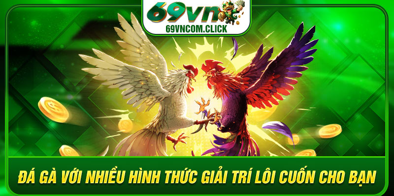 Đá gà với nhiều hình thức giải trí lôi cuốn cho bạn